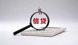 深圳13大额短借-深圳13哪里可以借钱-深圳13个人工程贷款